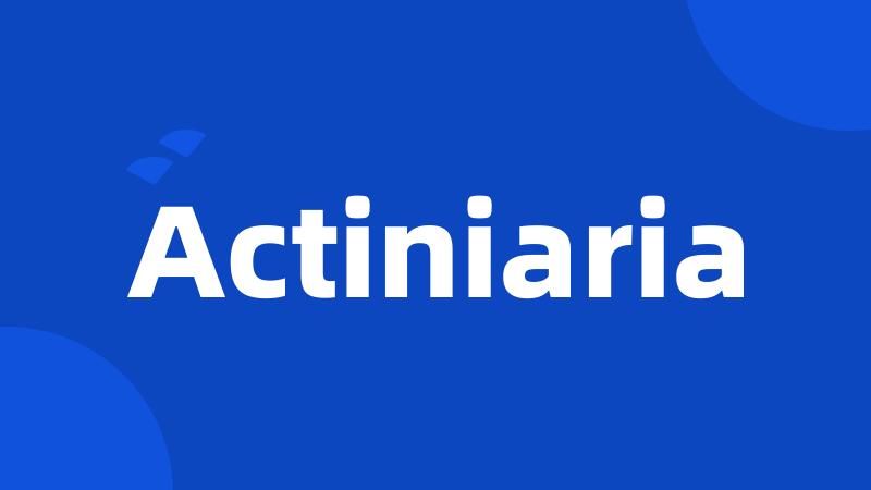 Actiniaria