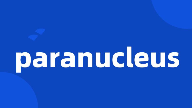 paranucleus