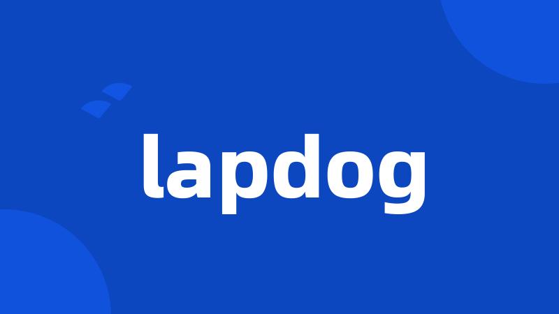 lapdog