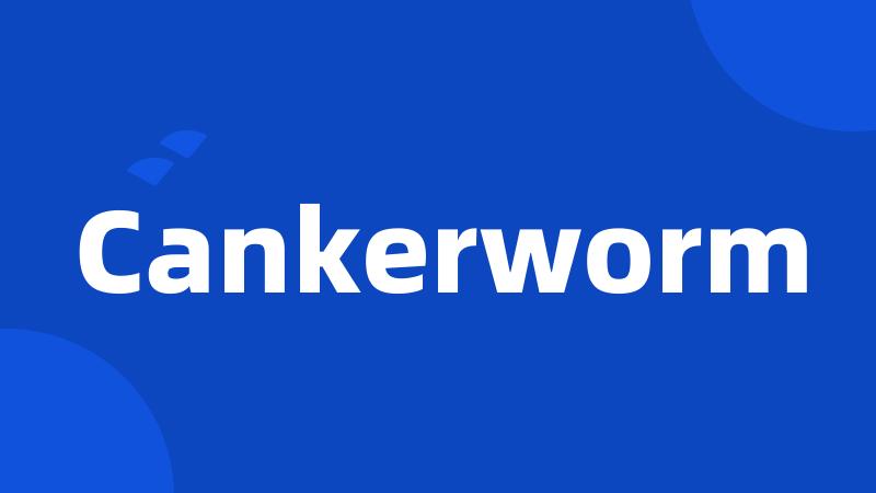 Cankerworm