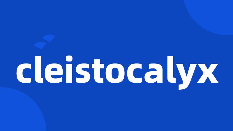 cleistocalyx