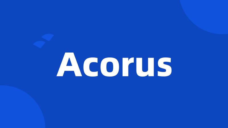 Acorus