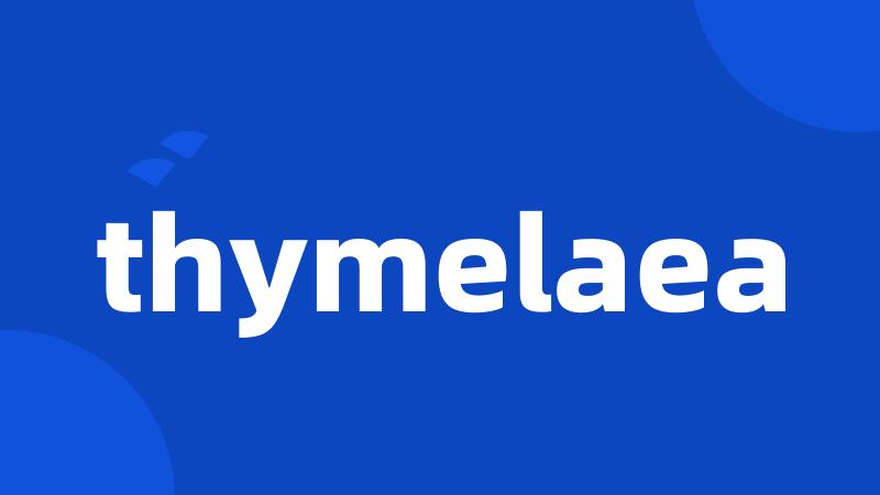 thymelaea