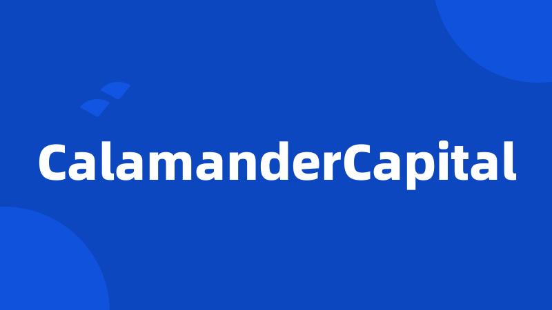 CalamanderCapital