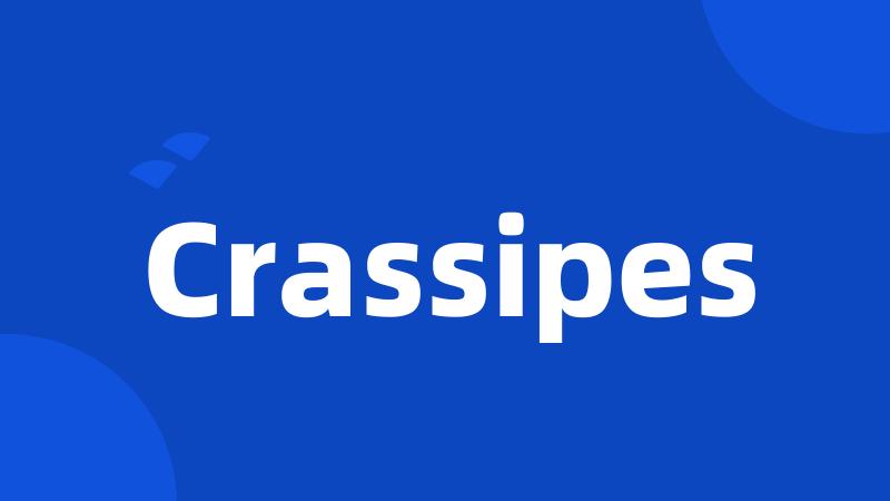 Crassipes