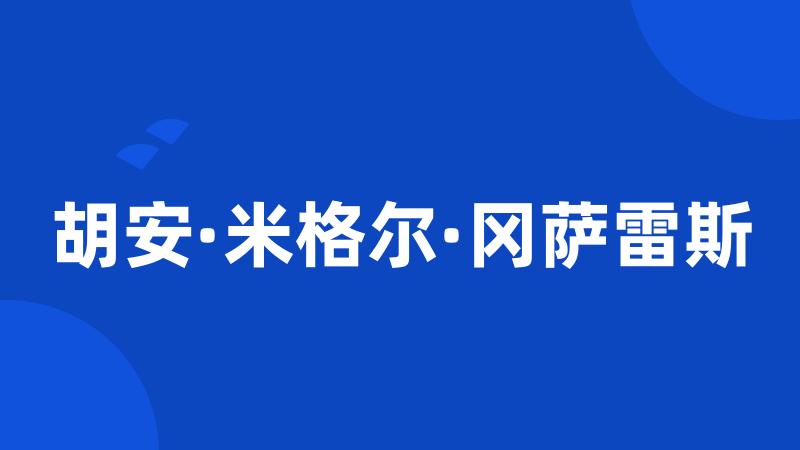 胡安·米格尔·冈萨雷斯