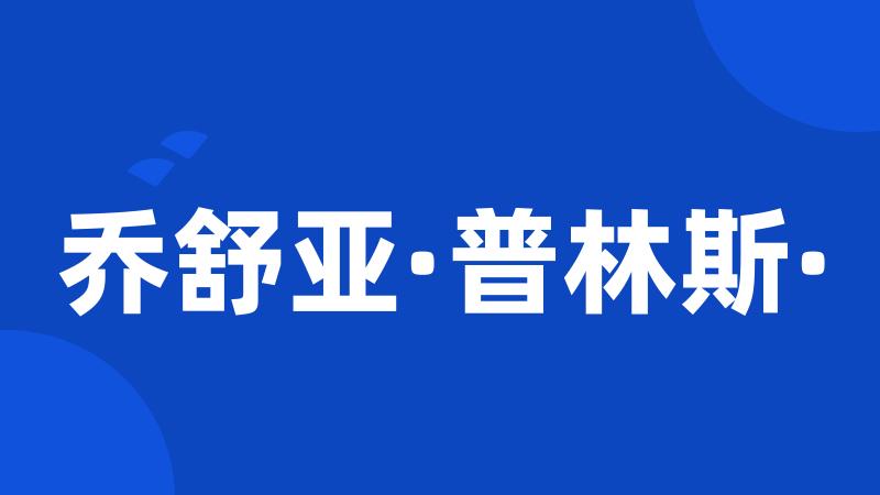 乔舒亚·普林斯·