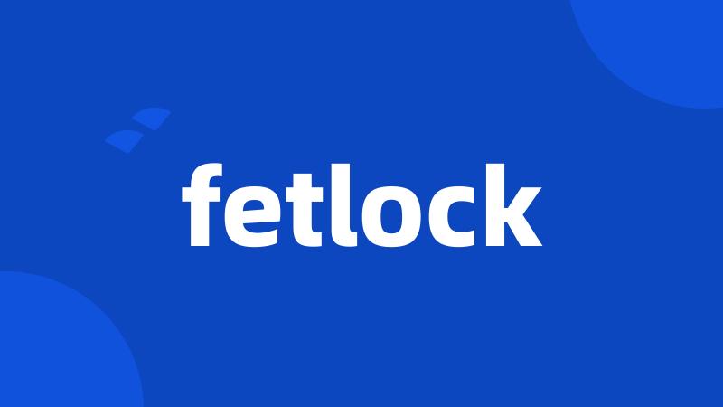 fetlock