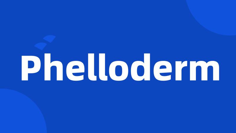 Phelloderm