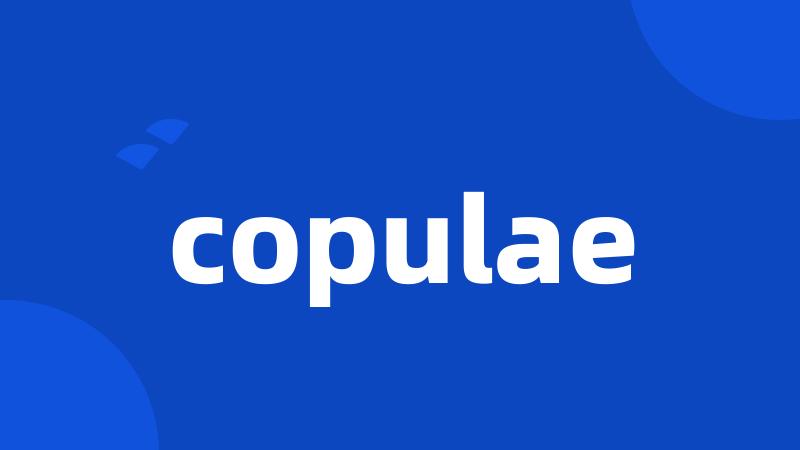 copulae