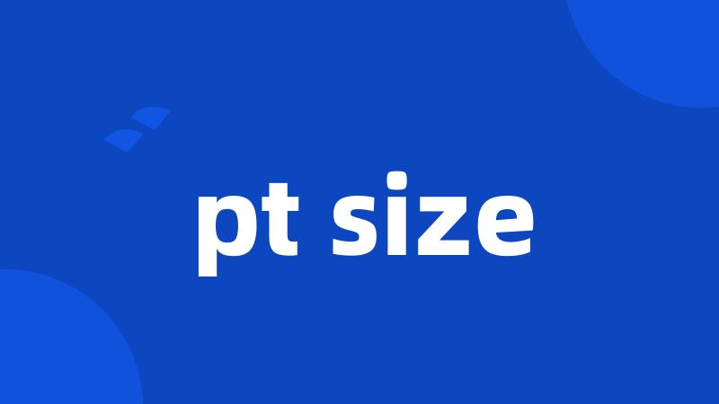 pt size