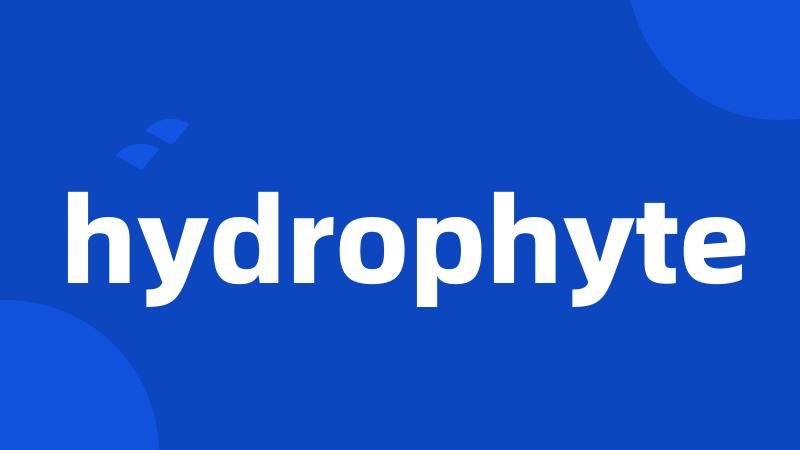 hydrophyte