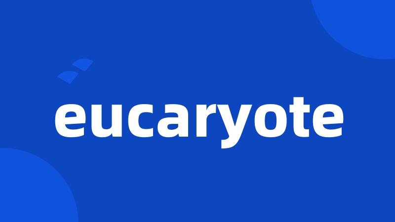 eucaryote