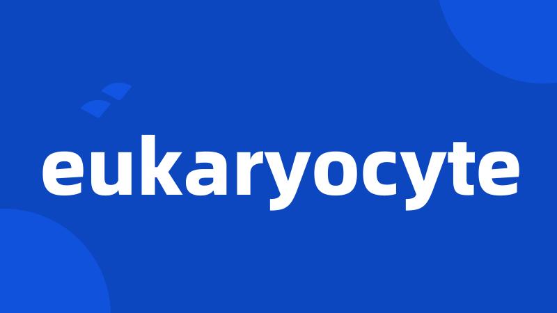 eukaryocyte