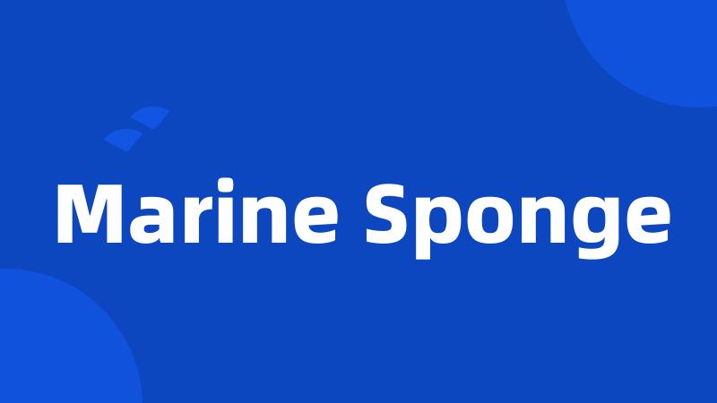 Marine Sponge