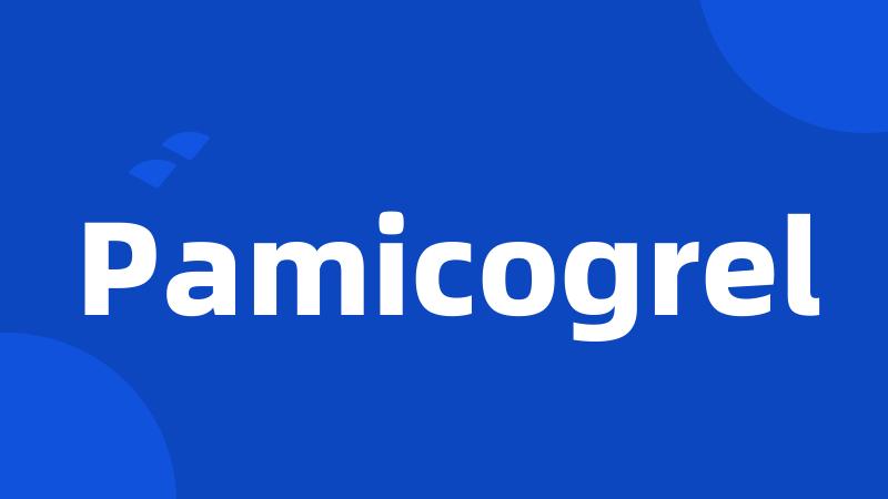 Pamicogrel