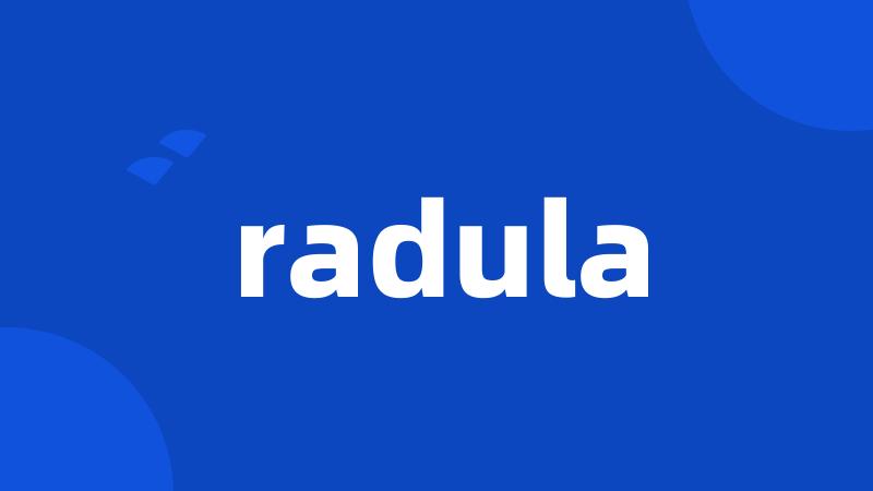 radula