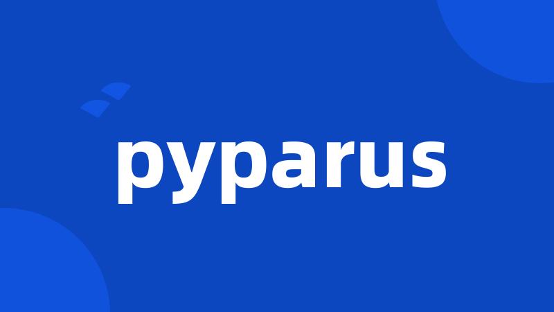 pyparus