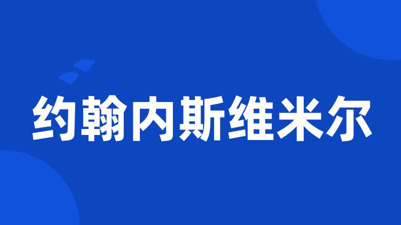 约翰内斯维米尔