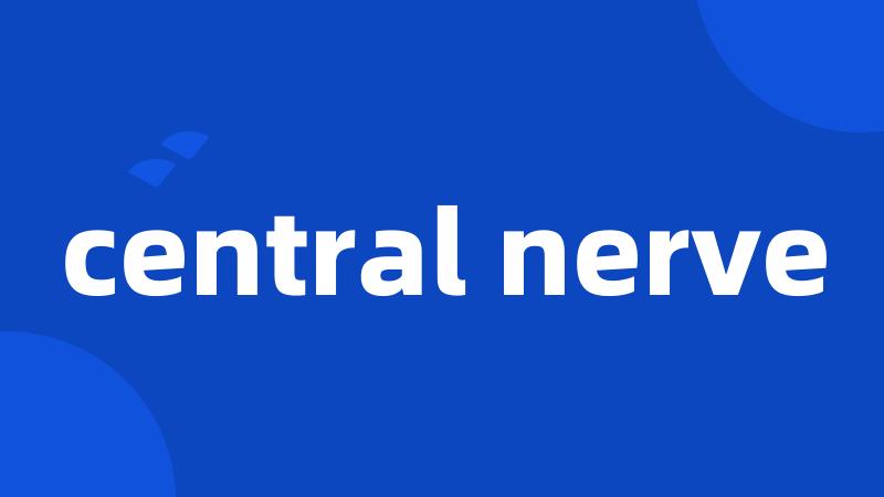 central nerve