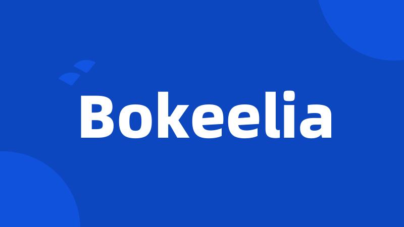 Bokeelia