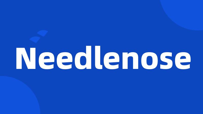 Needlenose