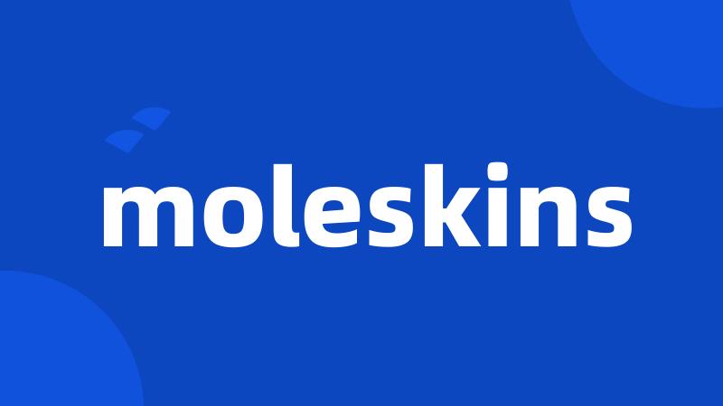 moleskins