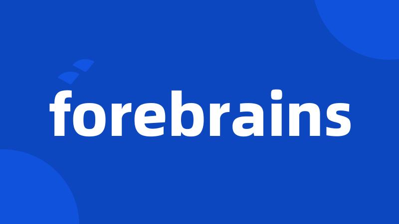 forebrains