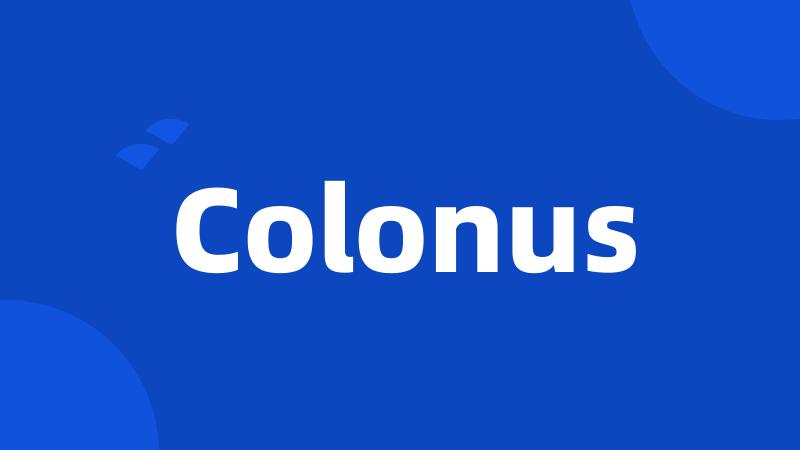 Colonus