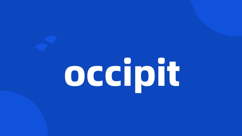 occipit