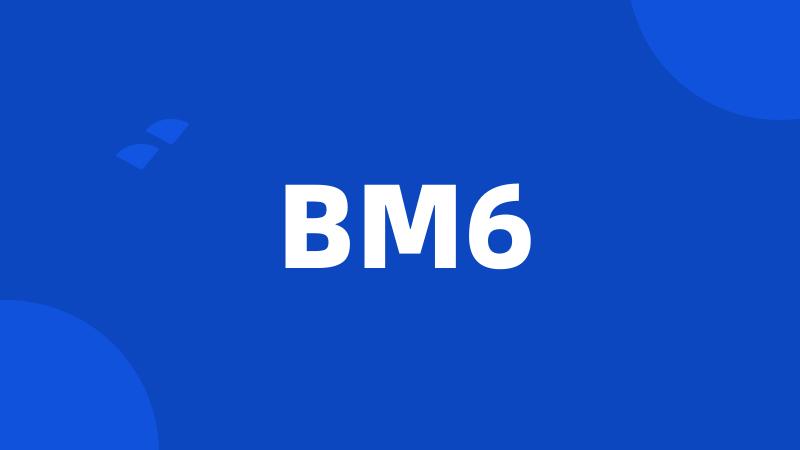 BM6