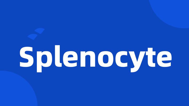 Splenocyte