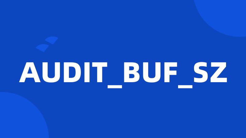 AUDIT_BUF_SZ