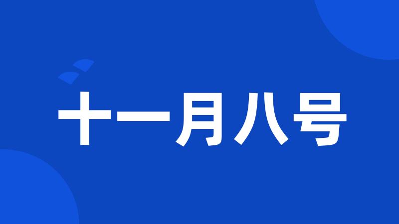 十一月八号