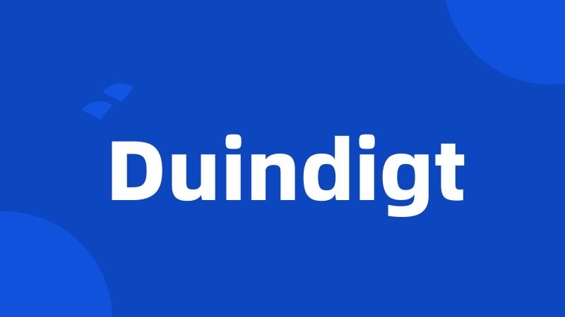 Duindigt