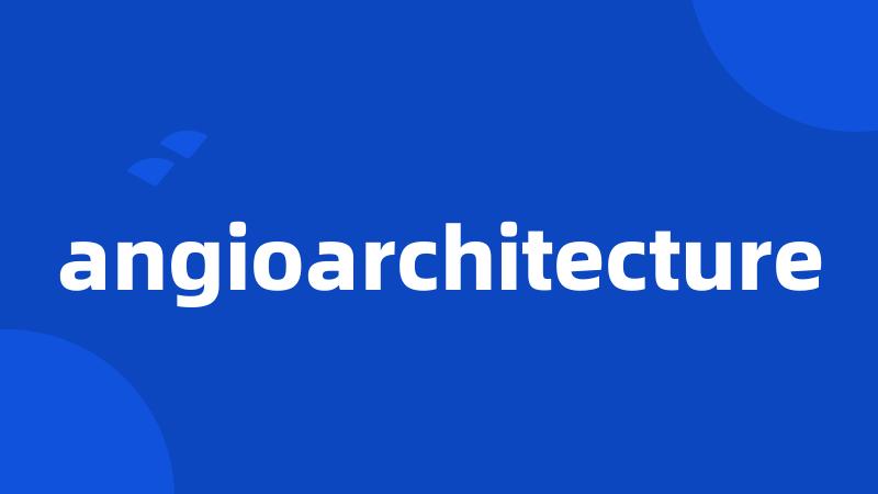 angioarchitecture