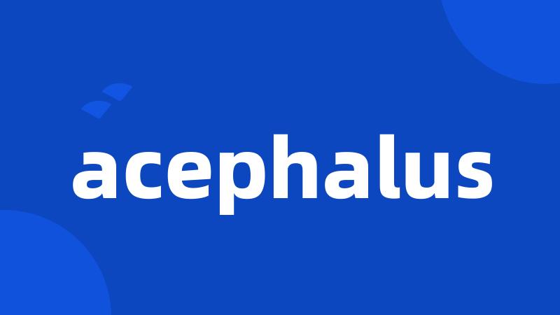 acephalus