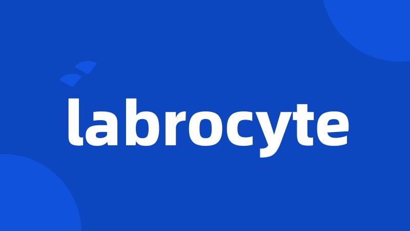 labrocyte