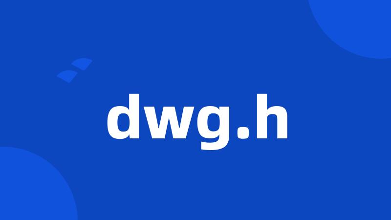 dwg.h