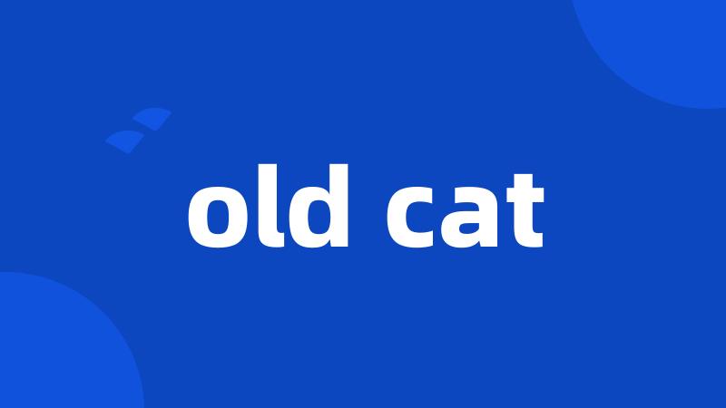 old cat