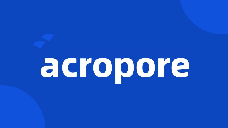 acropore