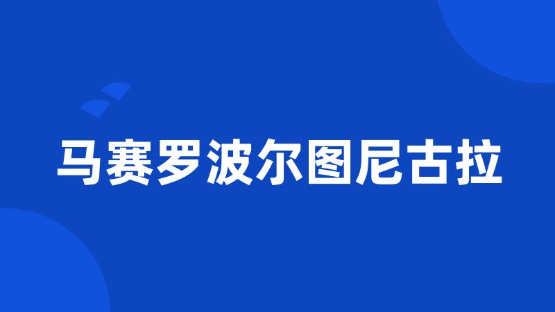 马赛罗波尔图尼古拉