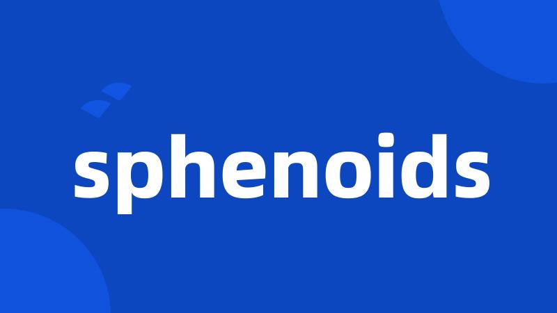 sphenoids