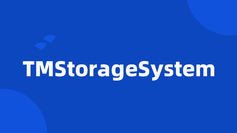 TMStorageSystem