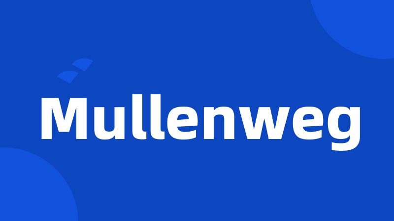 Mullenweg