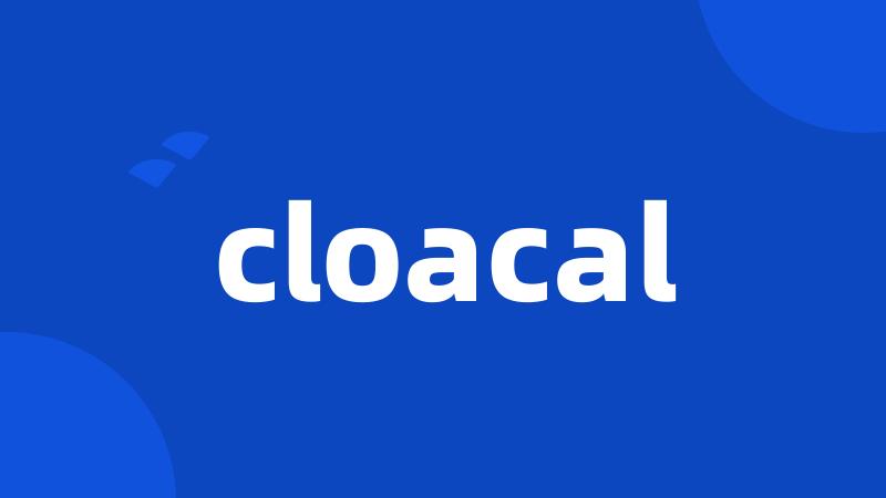 cloacal