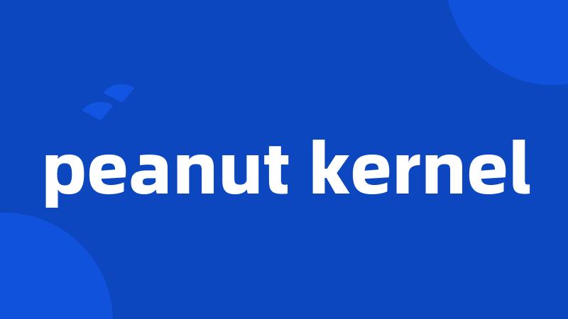 peanut kernel