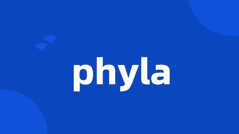 phyla