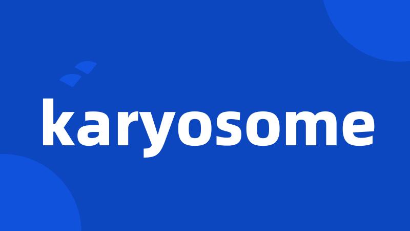 karyosome