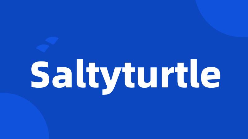 Saltyturtle